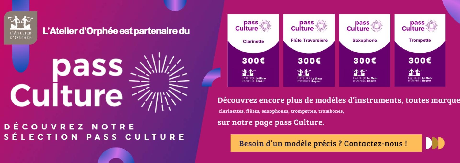 PASS CULTURE INSTRUMENT DE MUSIQUE